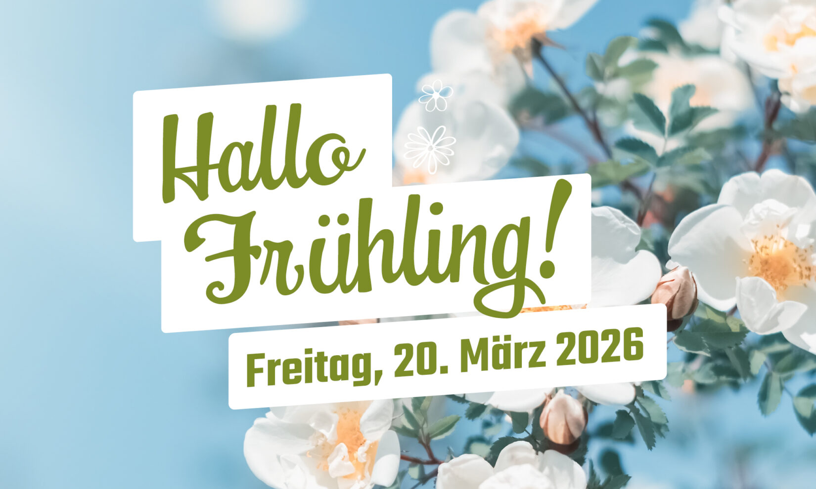 2026-03 Hallo Frühling HP 1000x600px